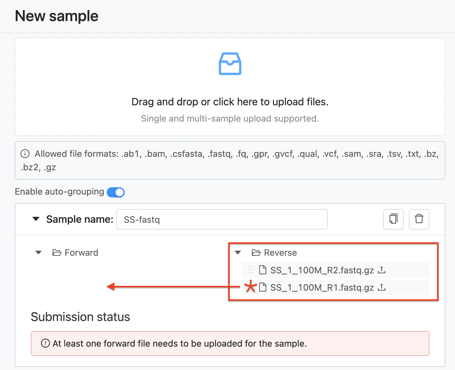 R1 R2 File Error